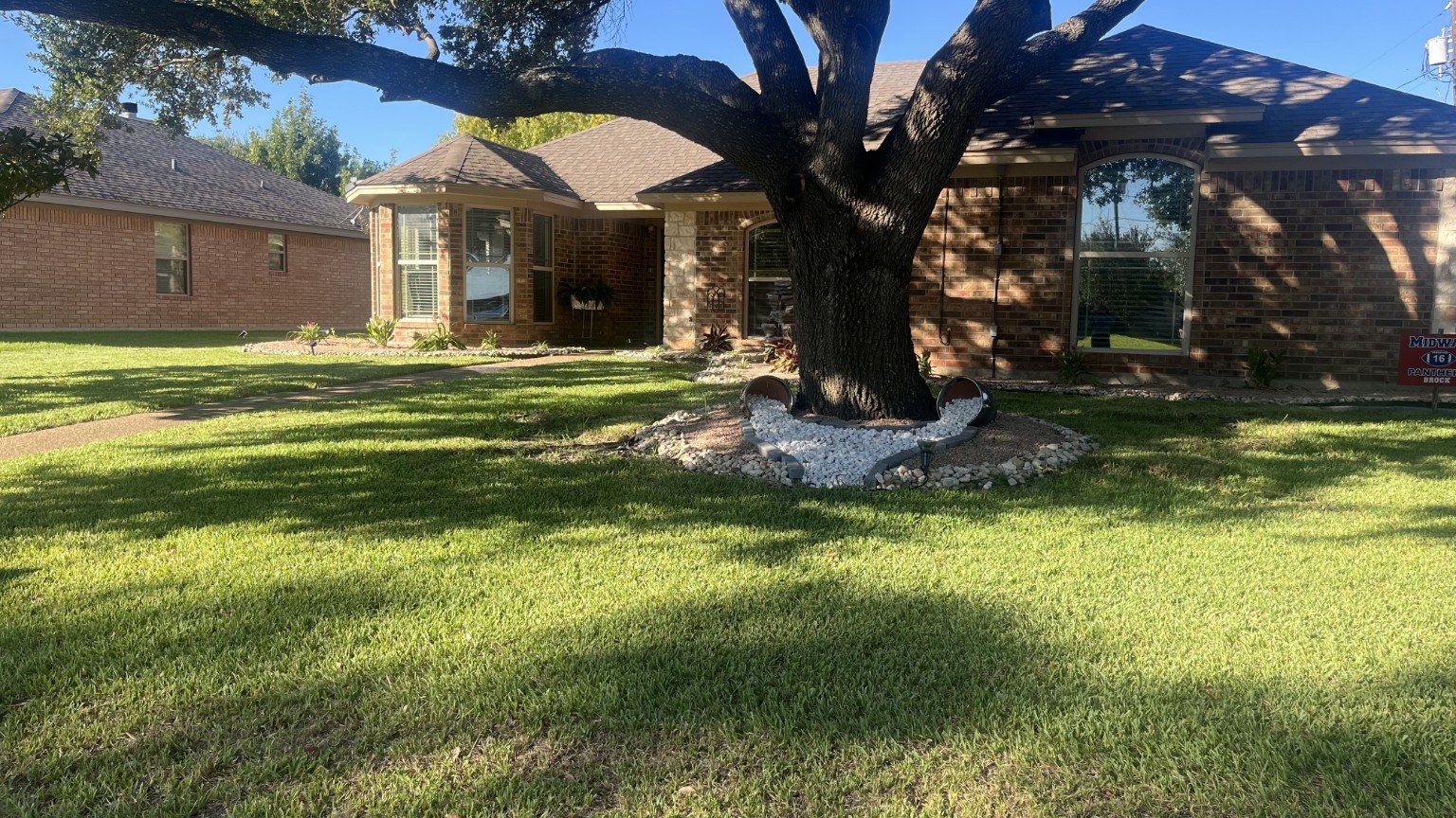 Mowed residential lawn with landscaped tree bed